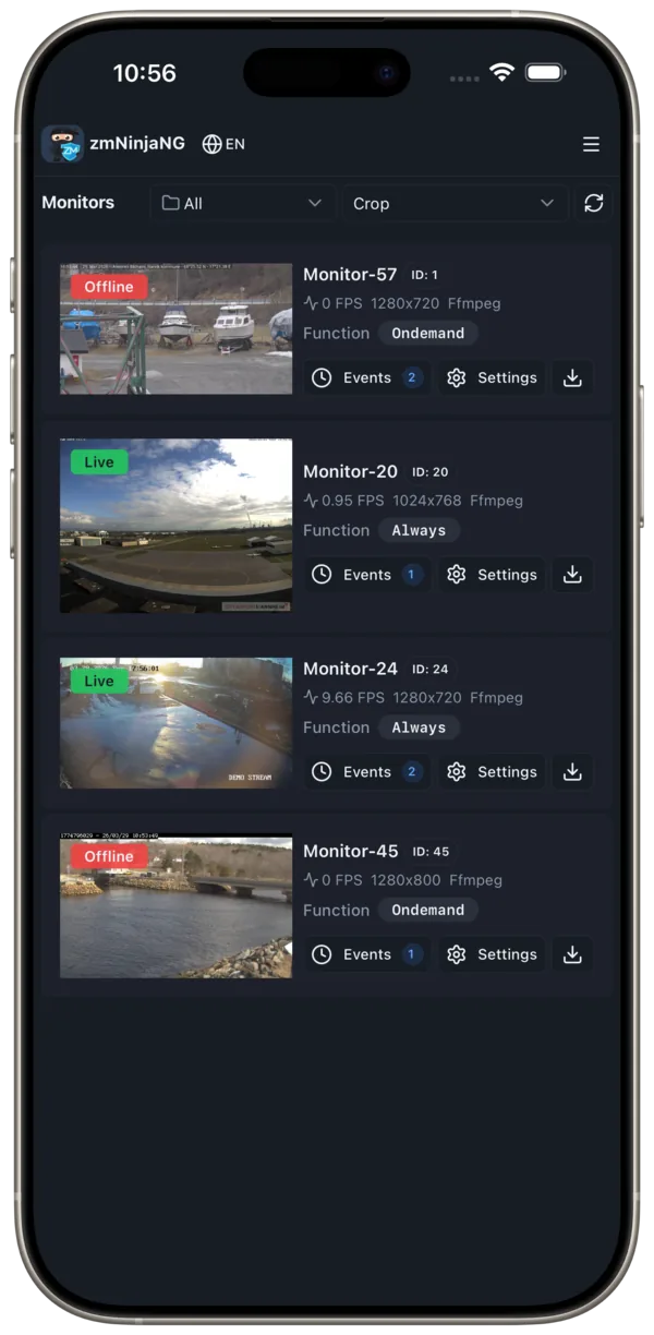 Monitors list showing live and offline cameras with status details